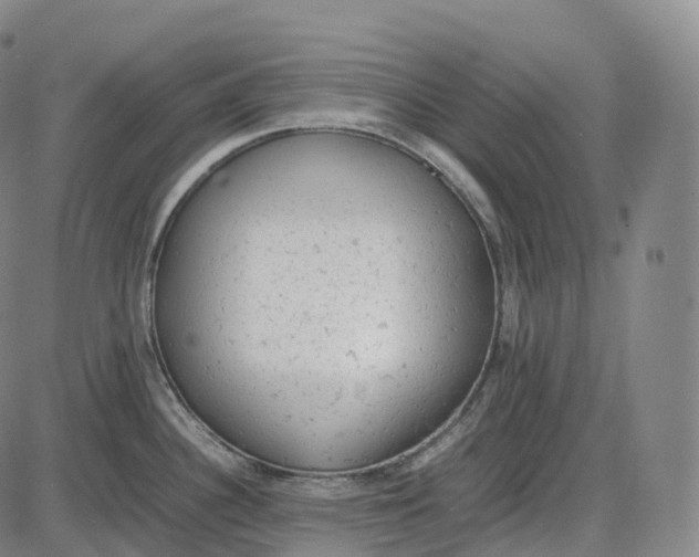 X0000085011340200703261145