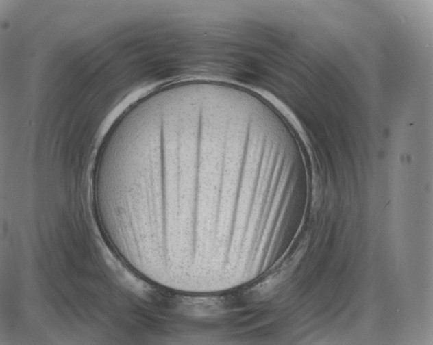 X0000085011341200703261145