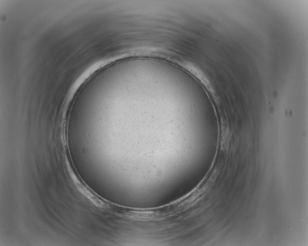 X0000085011342200703261145