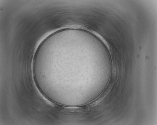 X0000085011343200703261145