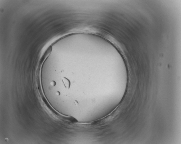 X0000085011344200703261145