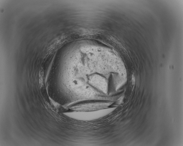 X0000085011348200703261144