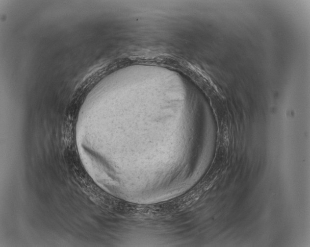 X0000085011350200703261144