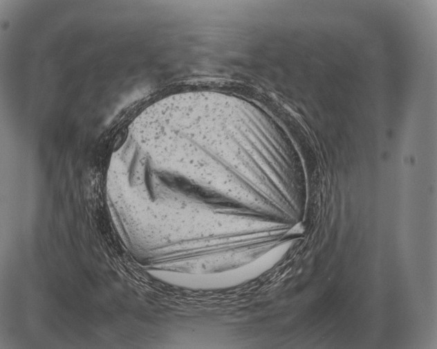 X0000085011351200703261144