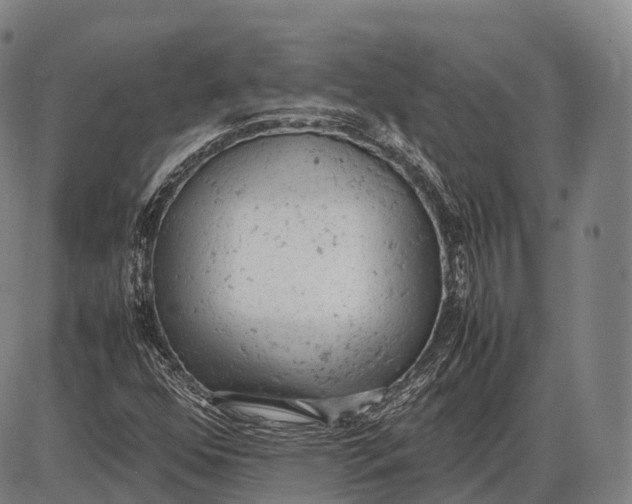 X0000085011352200703261144