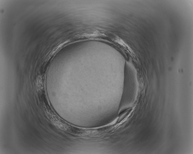 X0000085011353200703261144