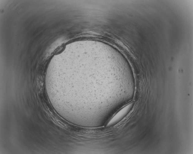 X0000085011355200703261144