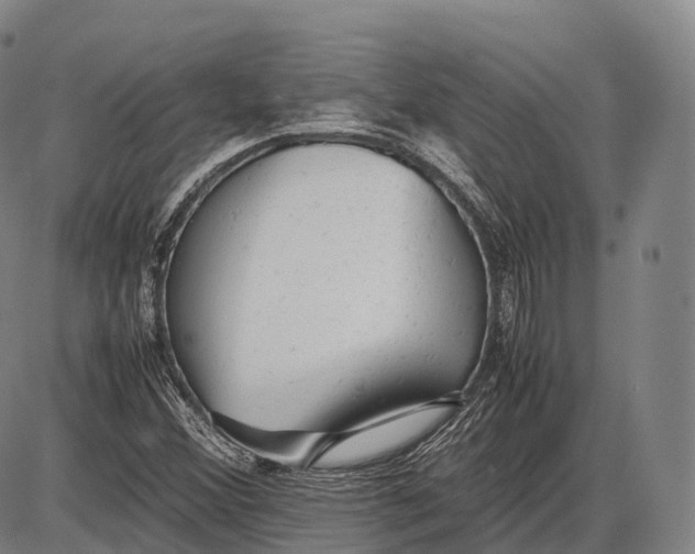 X0000085011356200703261144