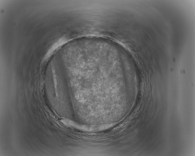 X0000085011359200703261144