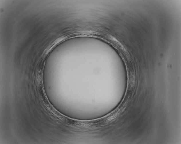 X0000085011361200703261144