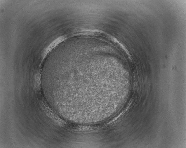 X0000085011362200703261144