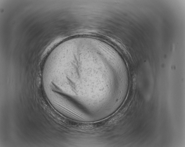 X0000085011363200703261144