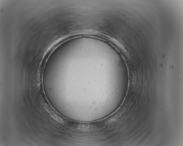 X0000085011364200703261144