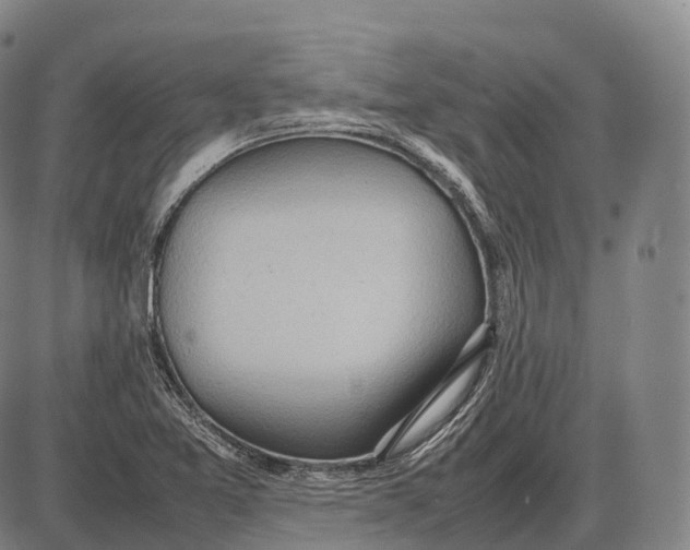 X0000085011365200703261144