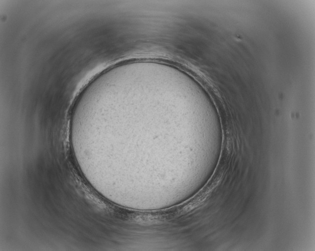 X0000085011366200703261144