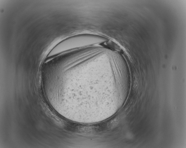 X0000085011367200703261144