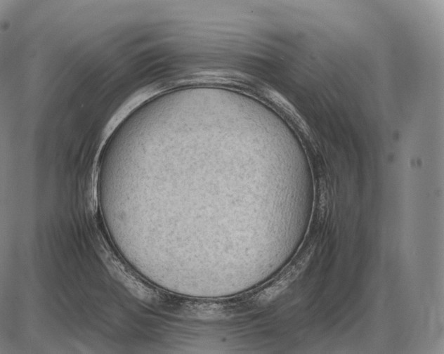 X0000085011370200703261144