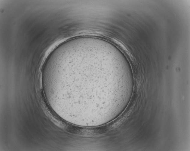 X0000085011371200703261144