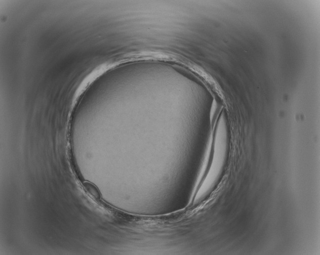 X0000085011373200703261144