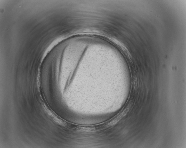 X0000085011374200703261144