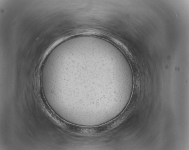 X0000085011375200703261144