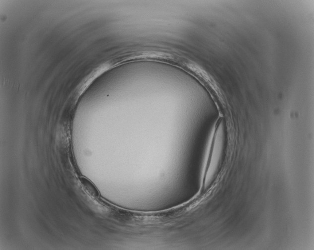 X0000085011377200703261143