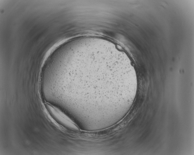 X0000085011379200703261143