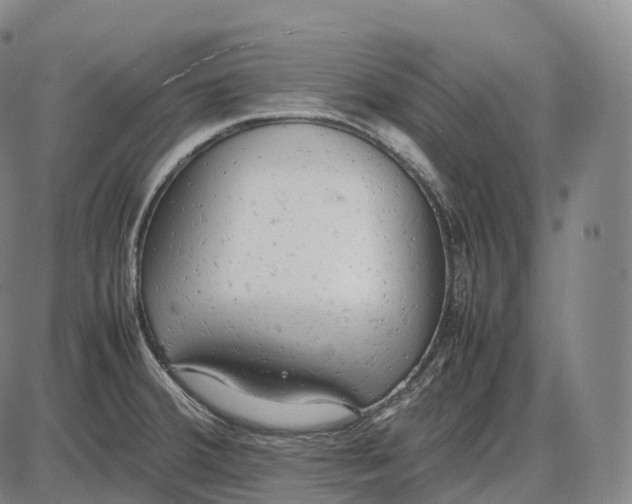 X0000085011380200703261143