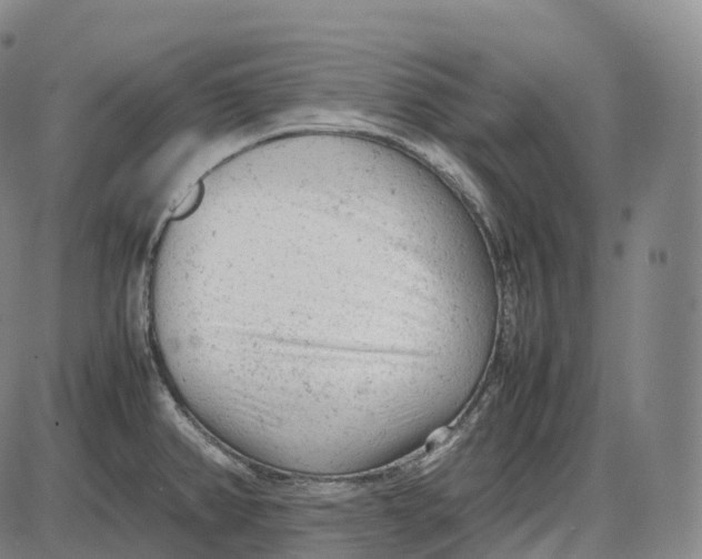 X0000085011382200703261143