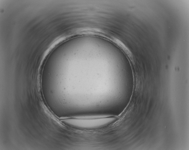 X0000085011384200703261143