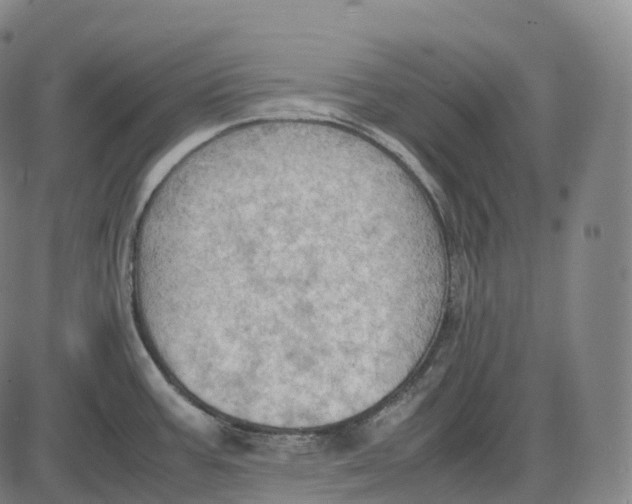 X0000085011387200703261143