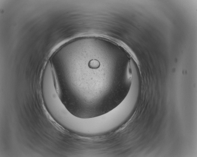 X0000085011388200703261143