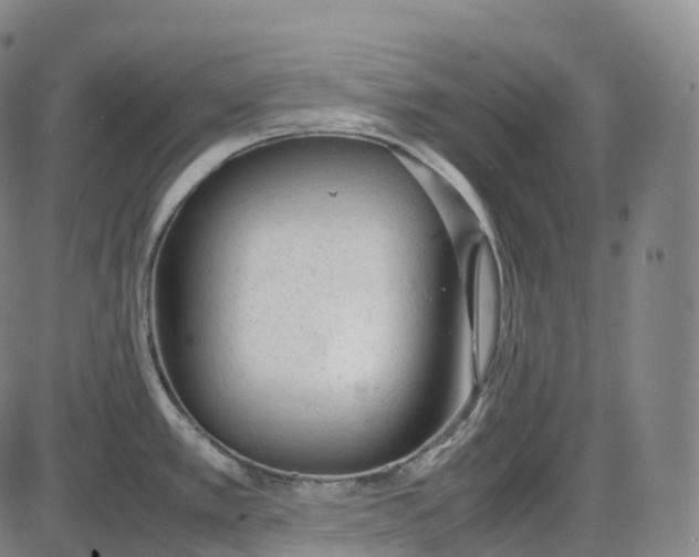 X0000085011389200703261143