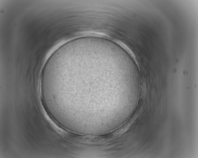 X0000085011391200703261143