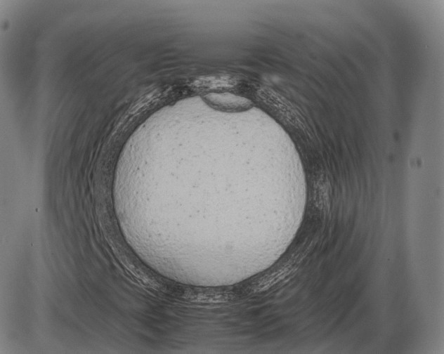 X0000085011393200703261142