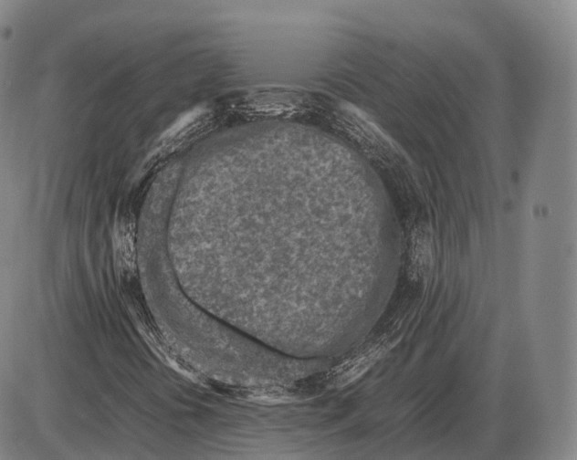 X0000085011394200703261142