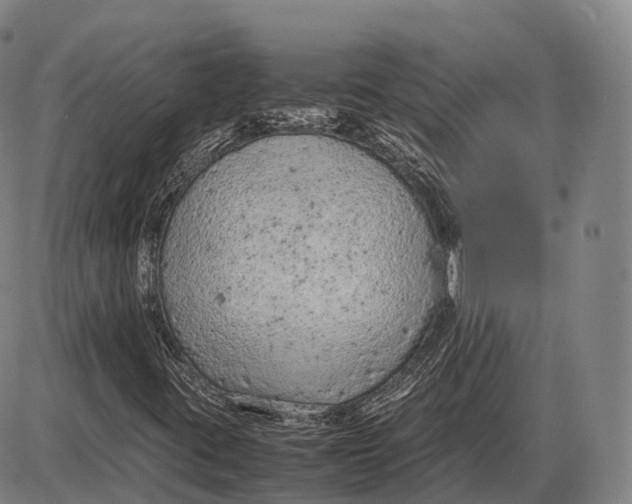 X0000085011395200703261142