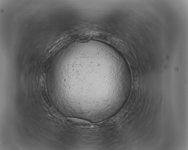 X0000085011397200703261142