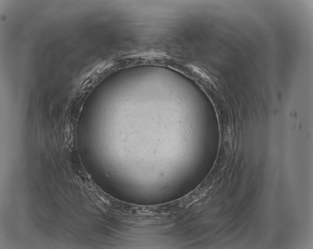 X0000085011398200703261142