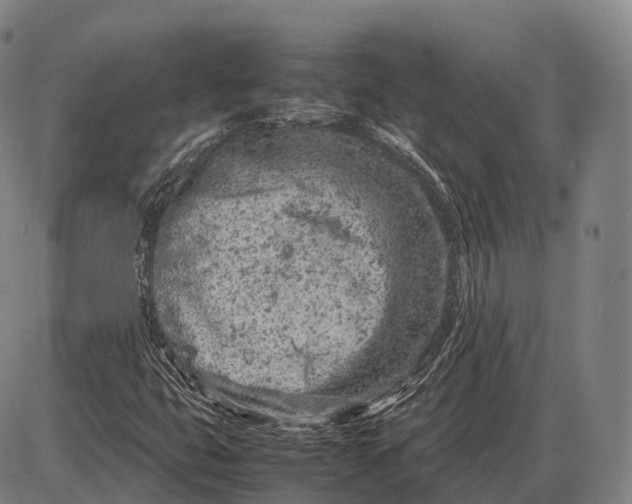 X0000085011399200703261143