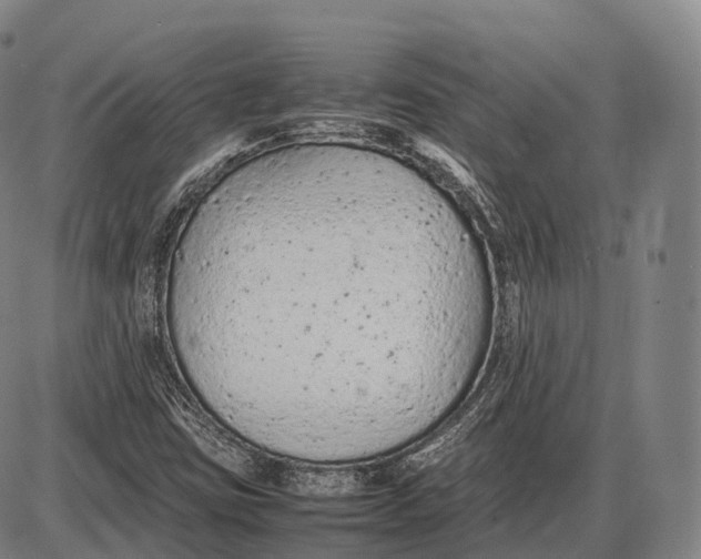 X0000085011403200703261143