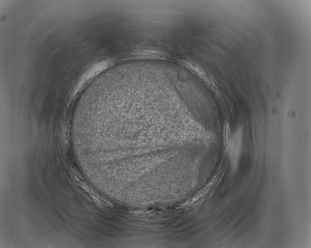 X0000085011405200703261143