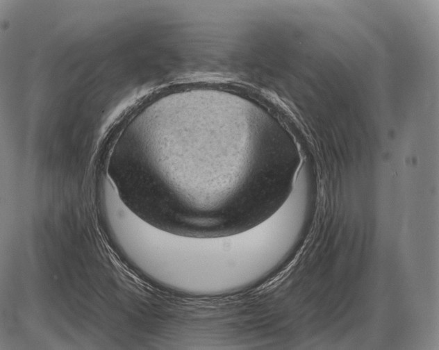 X0000085011406200703261143