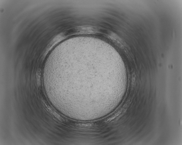 X0000085011409200703261143