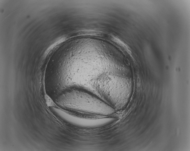 X0000085011411200703261143