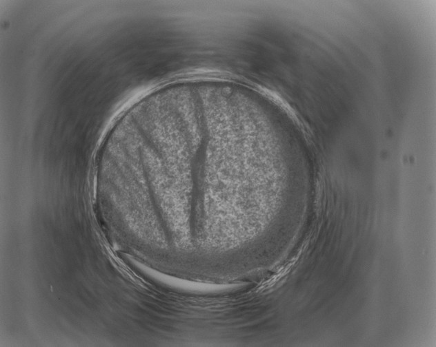 X0000085011413200703261143