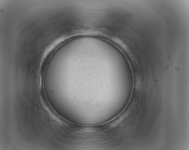 X0000085011414200703261143