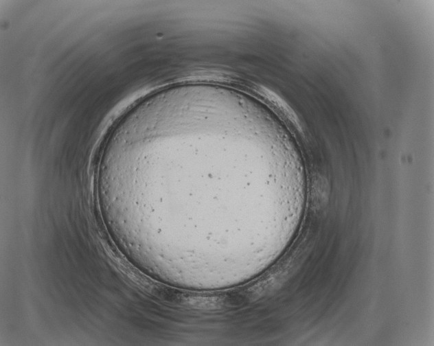 X0000085011419200703261143