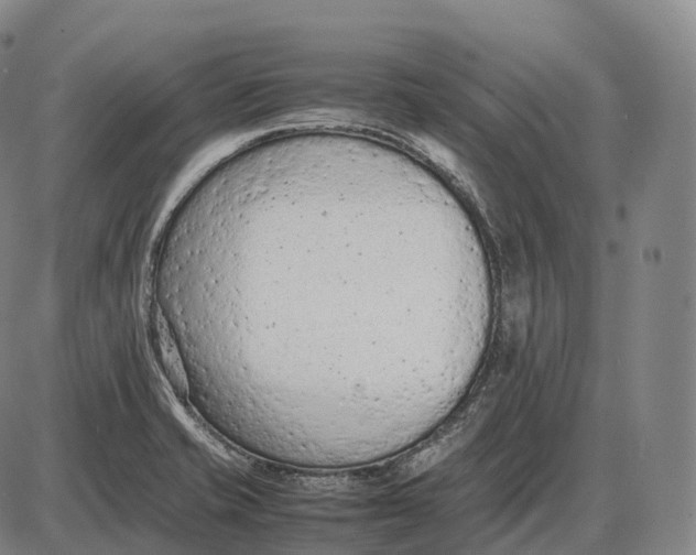 X0000085011421200703261143