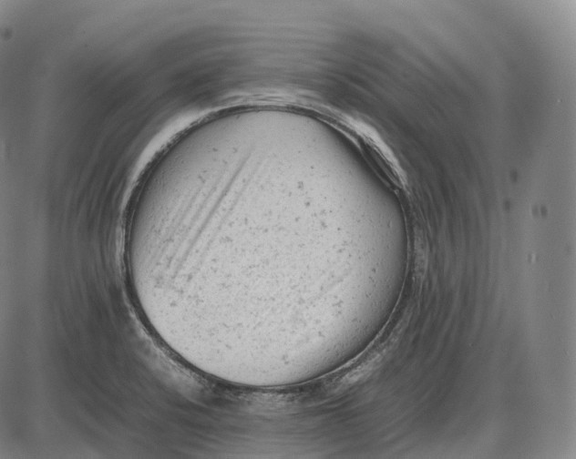 X0000085011424200703261143